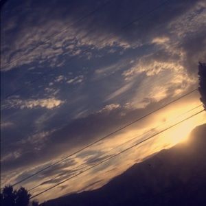 Meet your Posher, Sophia